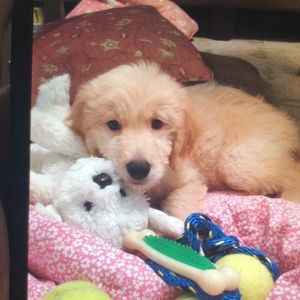 Meet your Posher, Msggie